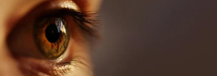 A close up of a brown eye.